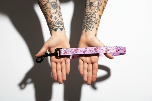 Correa Premium | Heartcore