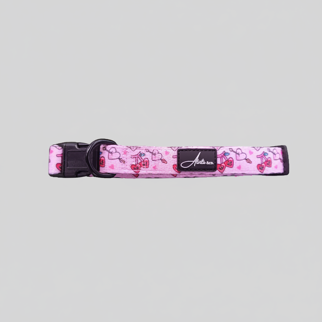 Collar Padded | Heartcore