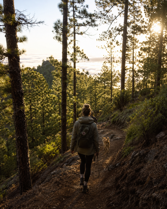 FIELD NOTES 001. El silencio también comunica: lo que descubrimos cuando dejamos de hablar durante el paseo