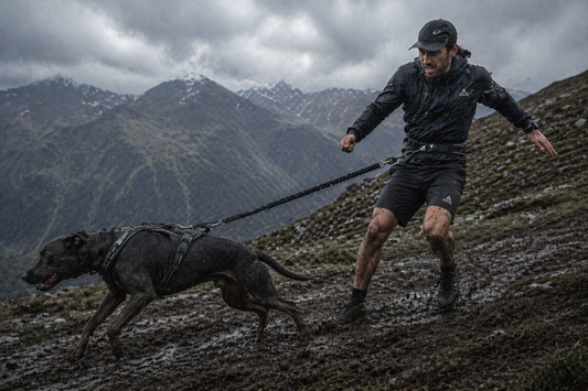 Por qué no sabes correr en canicross (aunque lleves años corriendo)