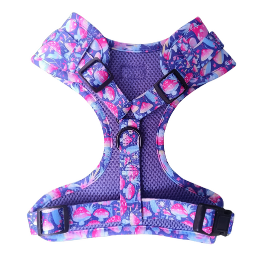 Arnés Neopreno | Cosmic Fungi