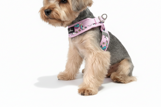 Arnés Step-In | Sweet Magic