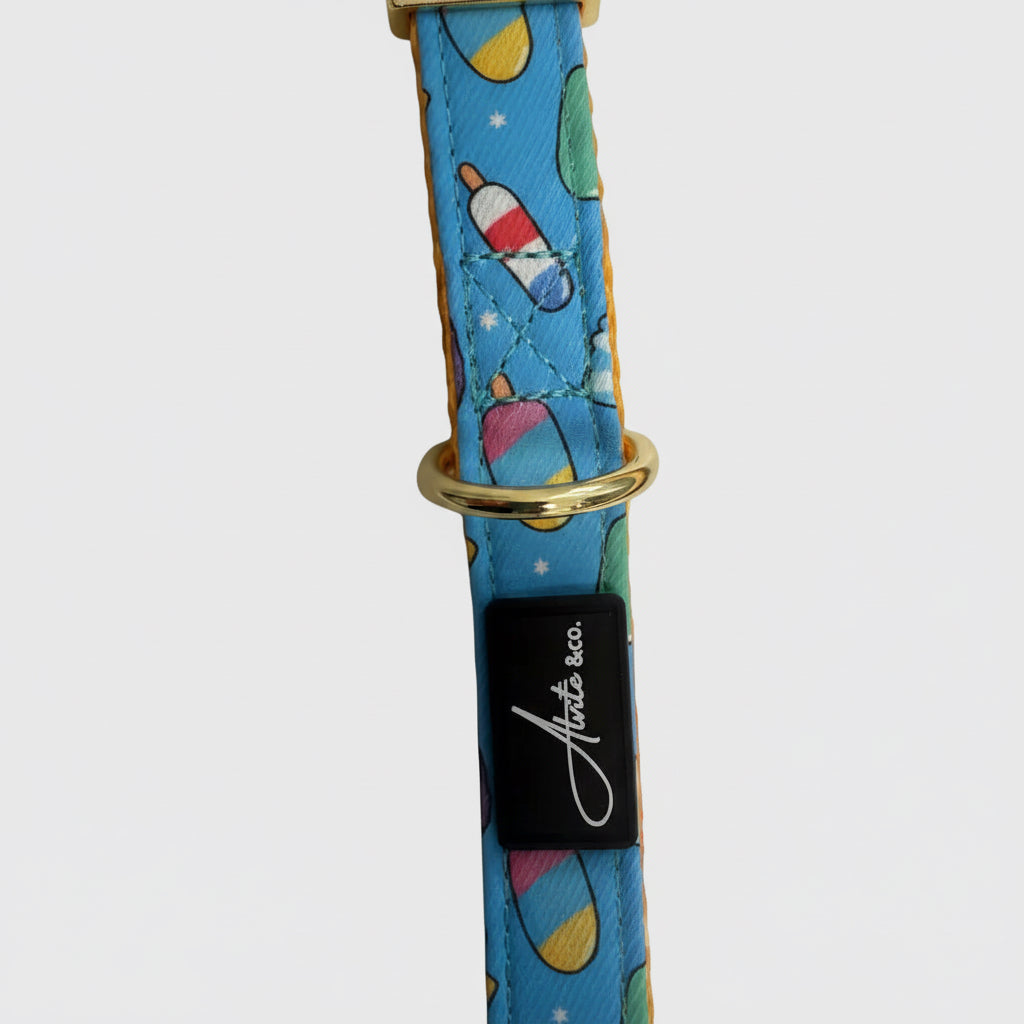 Correa Técnica | Blue Sorbet (Archive Edition).