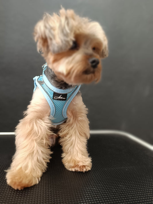 Arnés Step-In | Soft Mesh Pink (Archive Edition)