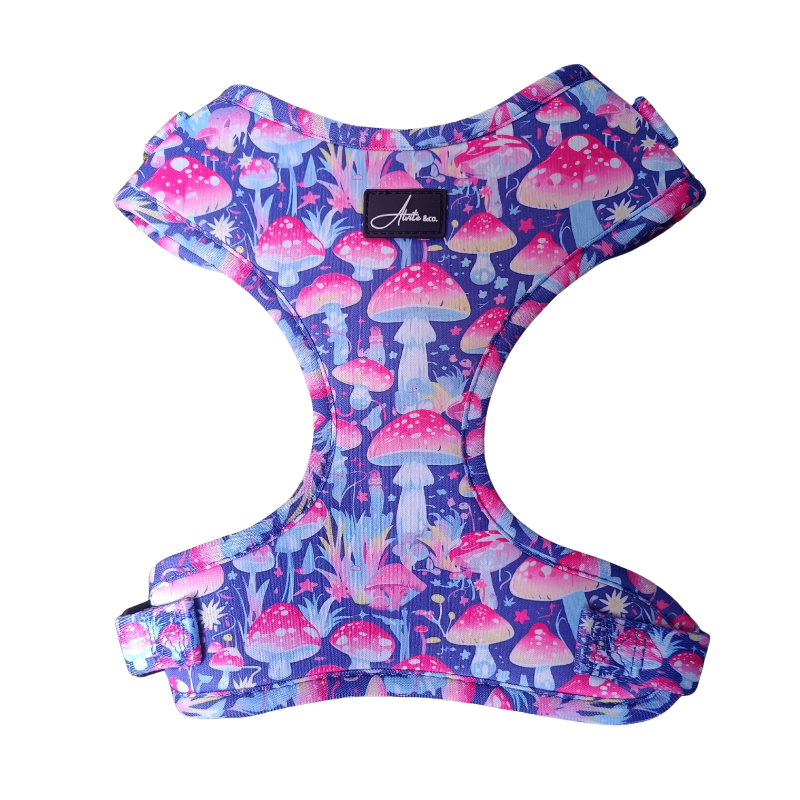 Arnés ajustable Mushroom Avatar - XS