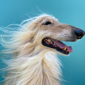 Acondicionadores y mascarillas