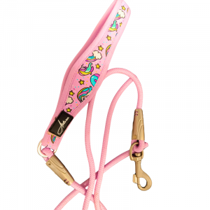 Correa Unicornio Colección 🦄