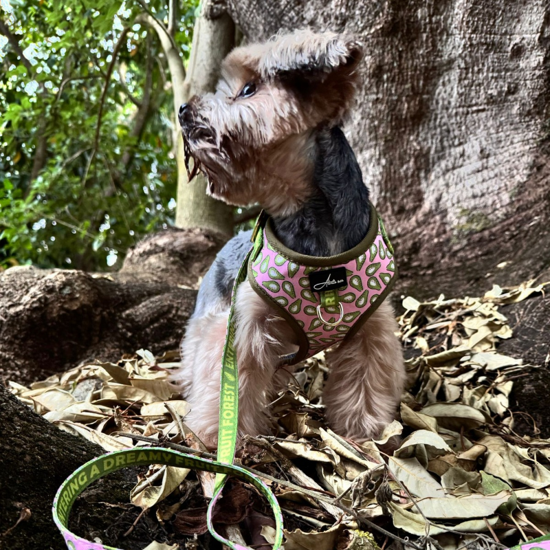 Arnés ajustable aguacates - Imagen 5