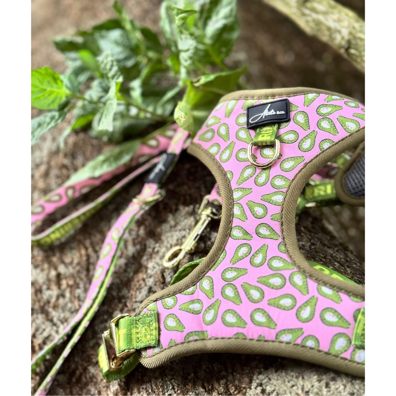 Arnés ajustable aguacates - Imagen 4