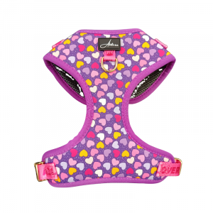 Arnés ajustable corazones (violeta)