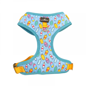 Arnés ajustable Polo